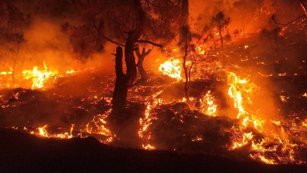 देश में सबसे अधिक जले उत्तराखंड के जंगल