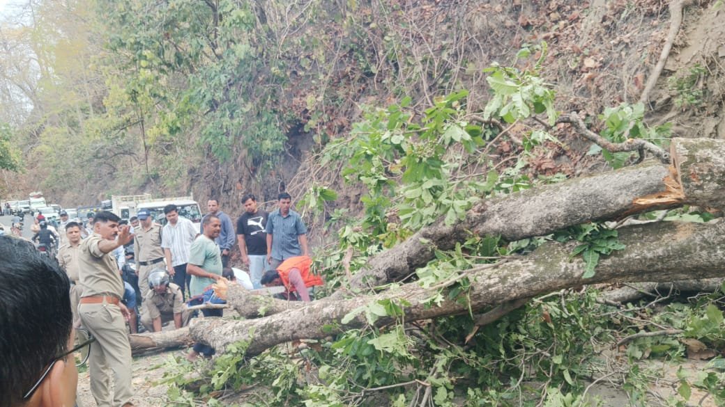 कालाढूंगी पुलिस की त्वरित कार्यवाही, सड़क पर गिरे विशालकाय पेड़ को काटकर कराया यातायात सुचारू