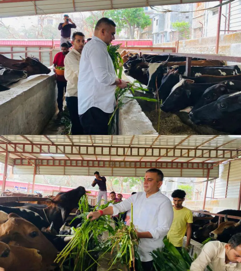 हल्द्वानी विधायक सुमित हृदयेश ने स्व. डॉ. इंदिरा हृदयेश जी की पुण्यतिथि पर गौशाला पहुंचकर की गौसेवा